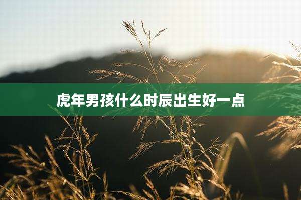 虎年男孩什么时辰出生好一点