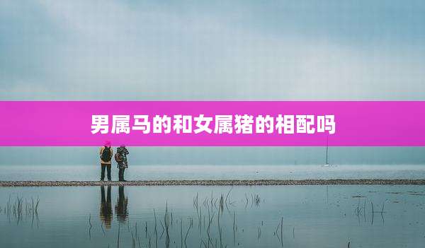 男属马的和女属猪的相配吗
