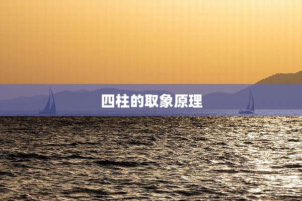 四柱的取象原理