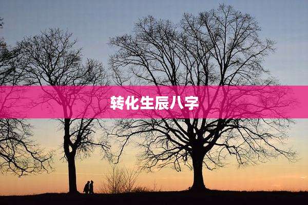 转化生辰八字