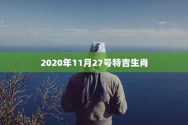 2020年11月27号特吉生肖