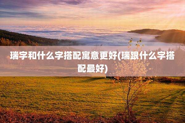 瑞字和什么字搭配寓意更好(瑞跟什么字搭配最好)