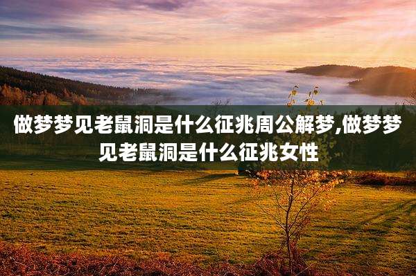 做梦梦见老鼠洞是什么征兆周公解梦,做梦梦见老鼠洞是什么征兆女性