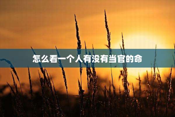 怎么看一个人有没有当官的命