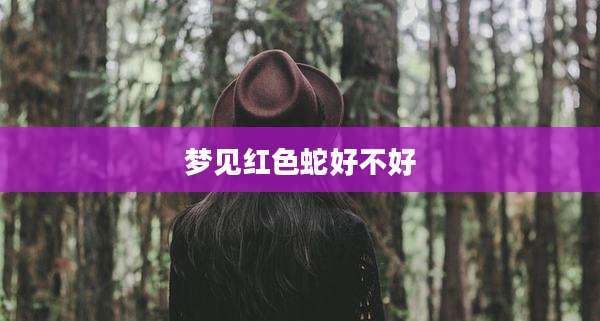梦见红色蛇好不好