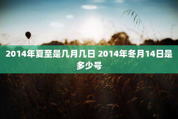 2014年夏至是几月几日 2014年冬月14日是多少号