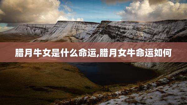腊月牛女是什么命运,腊月女牛命运如何