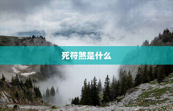 死符煞是什么