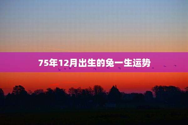 75年12月出生的兔一生运势
