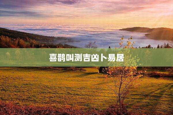 喜鹊叫测吉凶卜易居