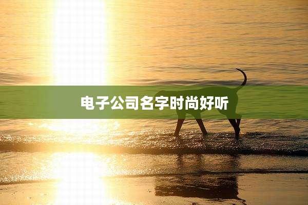 电子公司名字时尚好听