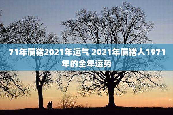 71年属猪2021年运气 2021年属猪人1971年的全年运势