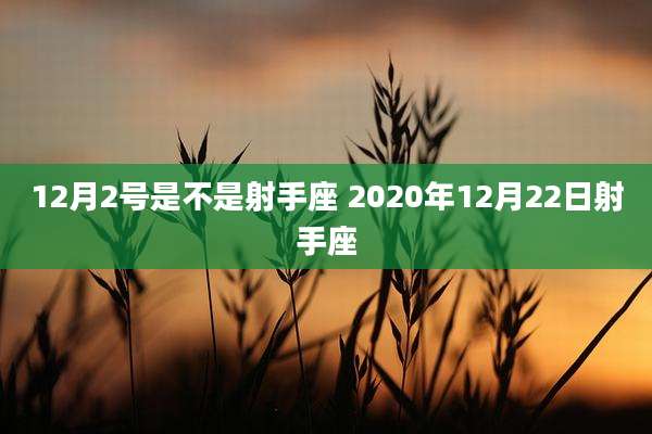 12月2号是不是射手座 2020年12月22日射手座
