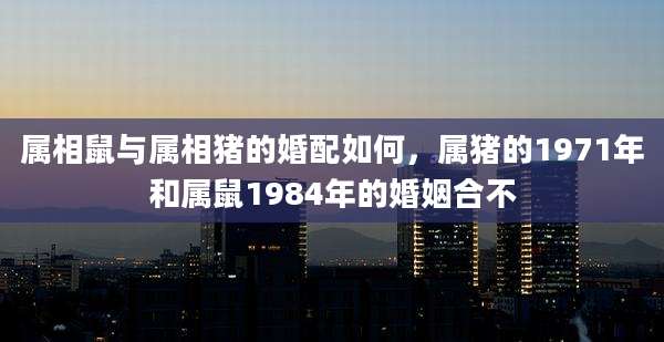 属相鼠与属相猪的婚配如何，属猪的1971年和属鼠1984年的婚姻合不