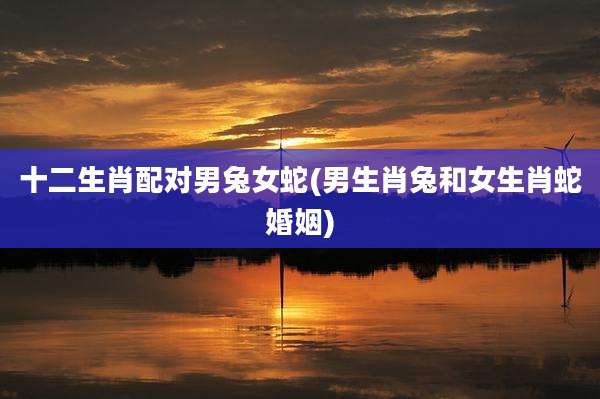 十二生肖配对男兔女蛇(男生肖兔和女生肖蛇婚姻)