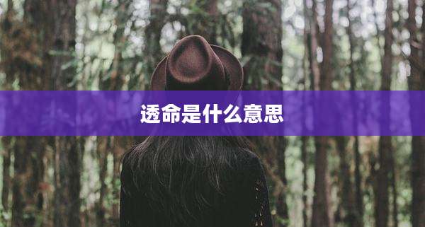 透命是什么意思