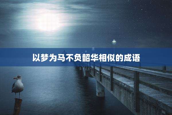 以梦为马不负韶华相似的成语