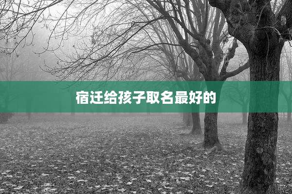 宿迁给孩子取名最好的