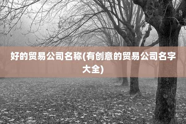 好的贸易公司名称(有创意的贸易公司名字大全)