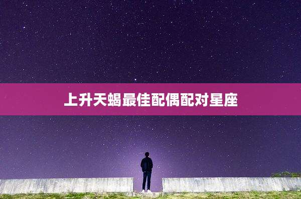 上升天蝎最佳配偶配对星座