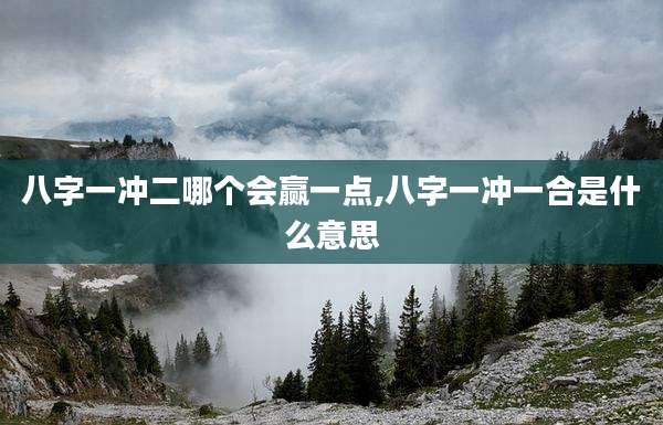 八字一冲二哪个会赢一点,八字一冲一合是什么意思