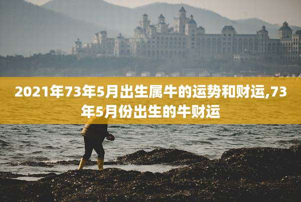 2021年73年5月出生属牛的运势和财运,73年5月份出生的牛财运