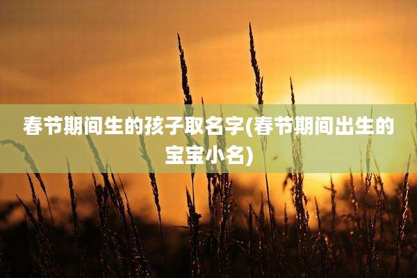 春节期间生的孩子取名字(春节期间出生的宝宝小名)