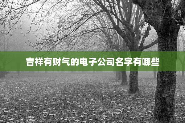 吉祥有财气的电子公司名字有哪些