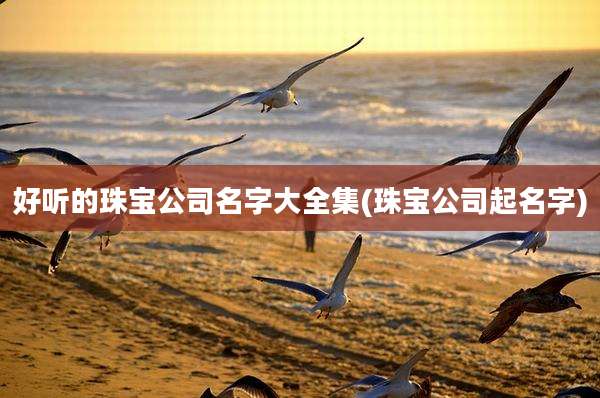 好听的珠宝公司名字大全集(珠宝公司起名字)