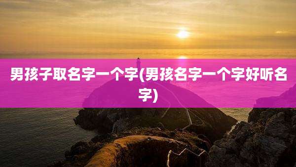 男孩子取名字一个字(男孩名字一个字好听名字)