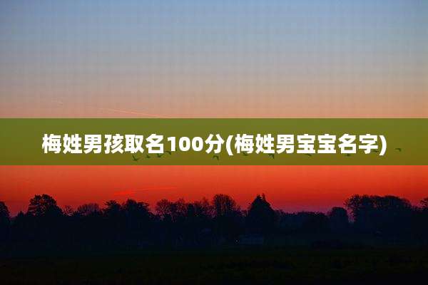梅姓男孩取名100分(梅姓男宝宝名字)