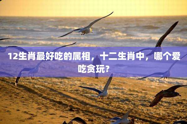 12生肖最好吃的属相,十二生肖中,哪个爱吃贪玩?