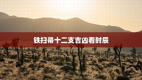 铁扫帚十二支吉凶看时辰