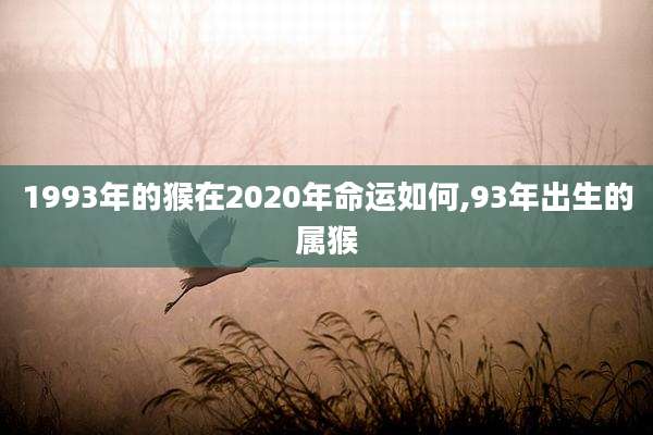 1993年的猴在2020年命运如何,93年出生的属猴