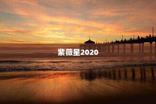 紫薇星2020