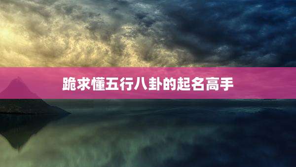 跪求懂五行八卦的起名高手