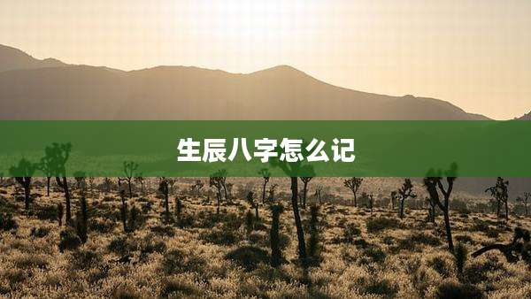 生辰八字怎么记