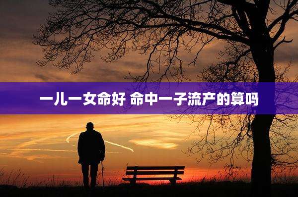 一儿一女命好 命中一子流产的算吗