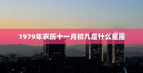 1979年农历十一月初九是什么星座