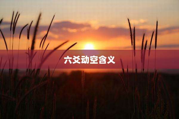 六爻动空含义