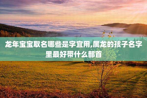 龙年宝宝取名哪些是字宜用,属龙的孩子名字里最好带什么部首