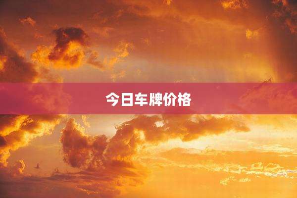 今日车牌价格