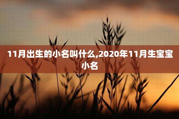 11月出生的小名叫什么,2020年11月生宝宝小名