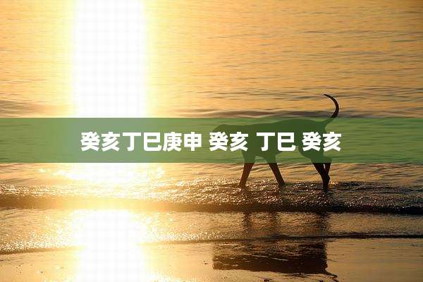 癸亥丁巳庚申 癸亥 丁巳 癸亥