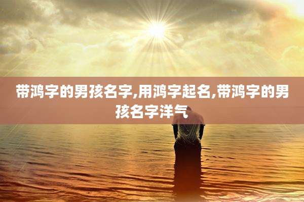 带鸿字的男孩名字,用鸿字起名,带鸿字的男孩名字洋气