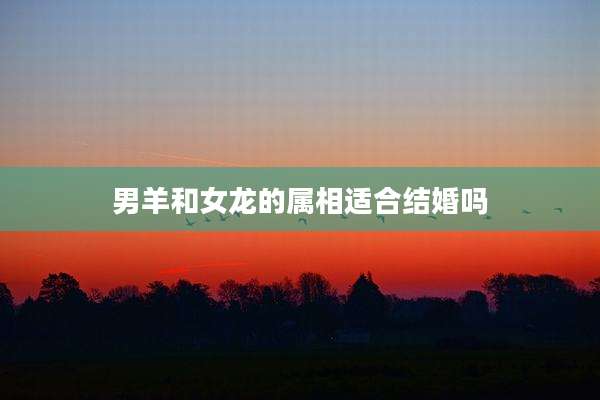 男羊和女龙的属相适合结婚吗