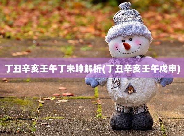 丁丑辛亥壬午丁未坤解析(丁丑辛亥壬午戊申)