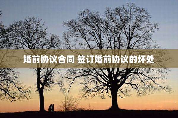 婚前协议合同 签订婚前协议的坏处