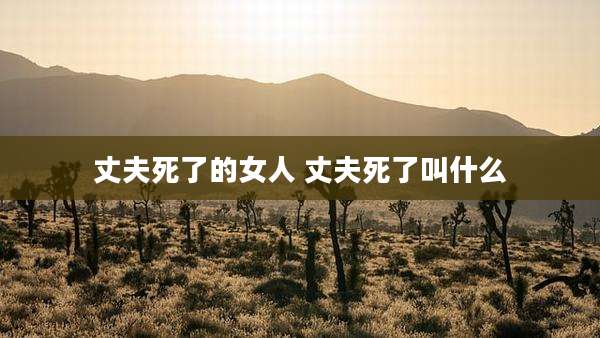 丈夫死了的女人 丈夫死了叫什么