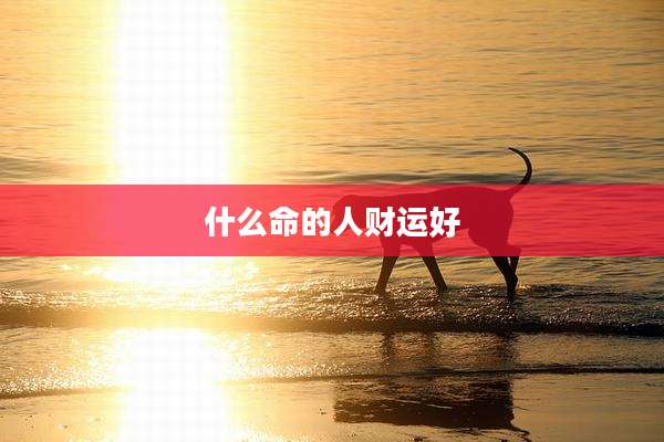 什么命的人财运好